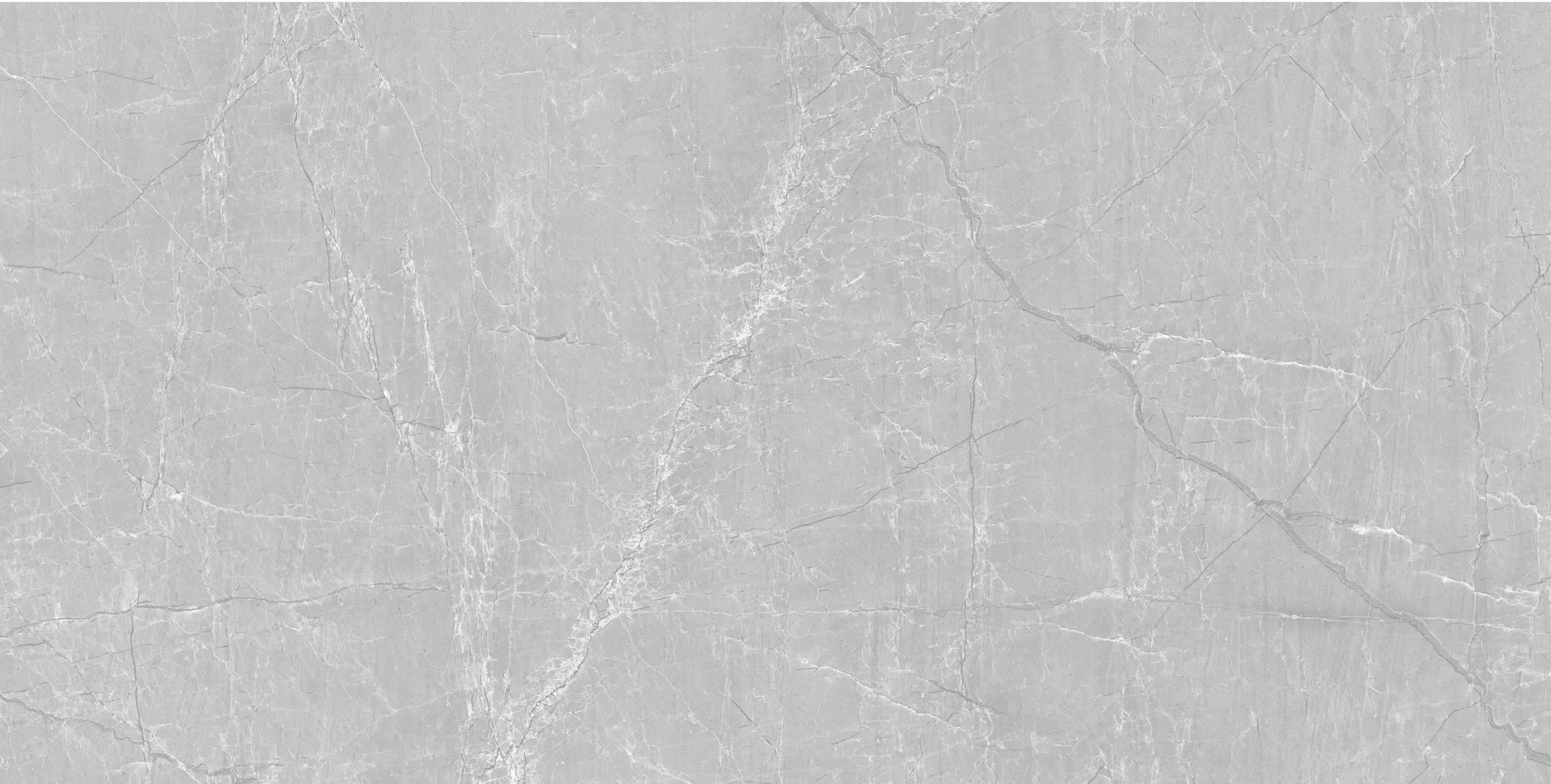 Floorest Porcelain Tile - Silver Grey 24" X 48" 16SF/BOX - CT24028