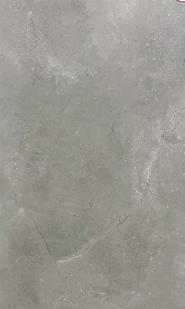 Floorest Porcelain Tile - Grey Concrete Matte 12 X 24 16Sf/Box - Ct12027M Special- Batch #9