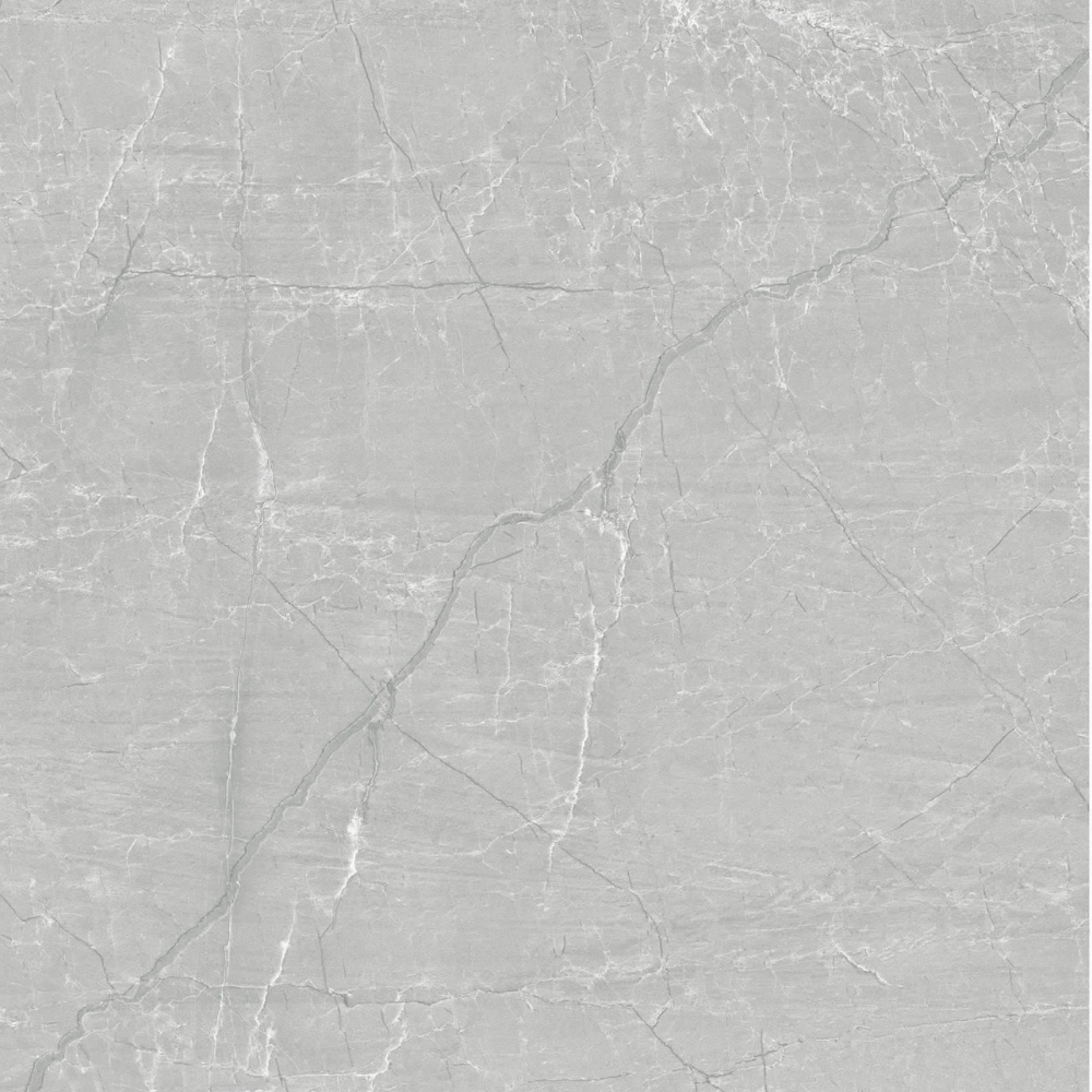 Floorest Porcelain Tile - Silver Grey 24" X 24" 16SF/BOX - CT22028