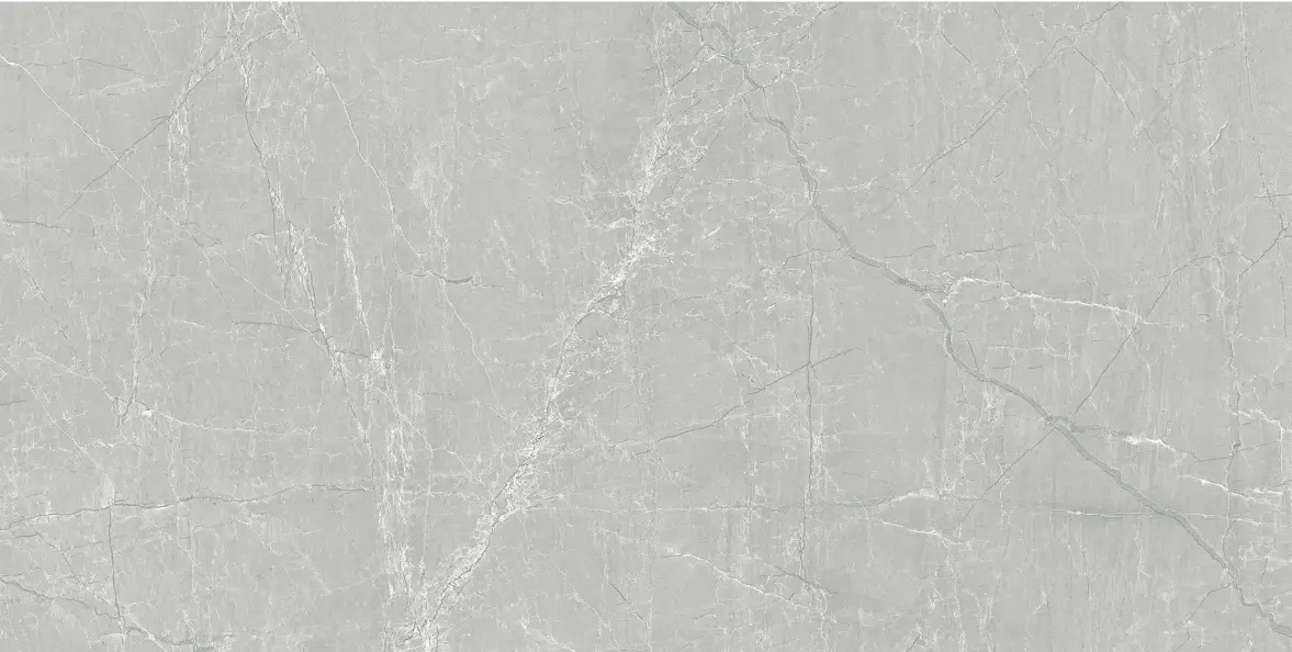 Floorest Porcelain Tile - Silver Grey 24" X 48" 16SF/BOX - CT24028 - Special