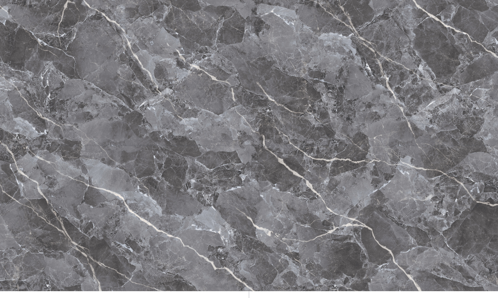 Floorest Porcelain Tile - Spider Nero  24" X 48" 16SF/BOX - CT24046